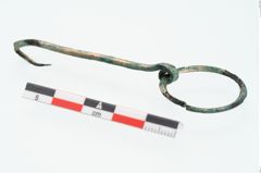 Foto von Bronzeringhaken (NHMW-PRAE-026280)